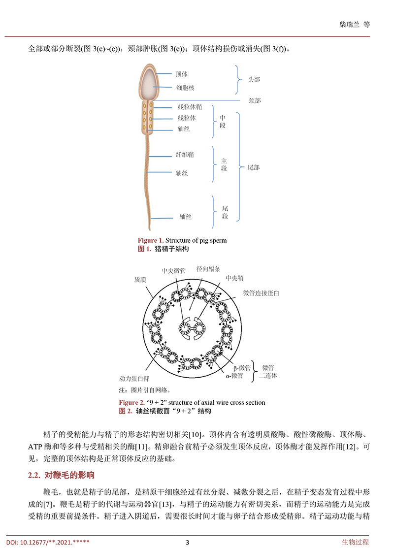 低温冷冻保存对猪精子的影响-3.jpg