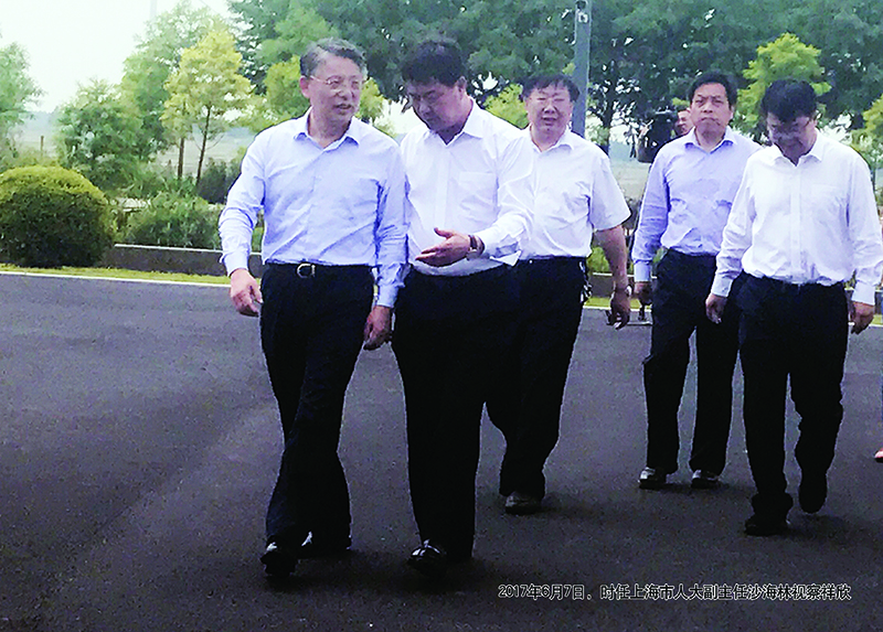 2017年6月7日，时任上海市人大副主任沙海林视察祥欣2的副本.jpg