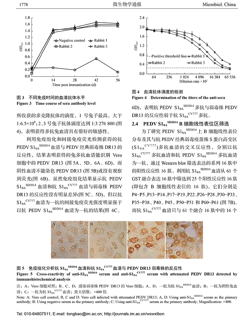 14-猪流行性腹泻-7.jpg