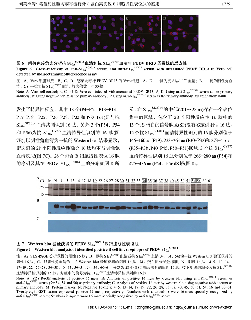 14-猪流行性腹泻-8.jpg