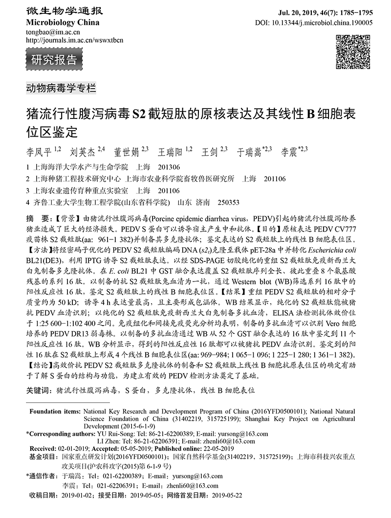 12-猪流行性腹泻病毒S2-1.jpg