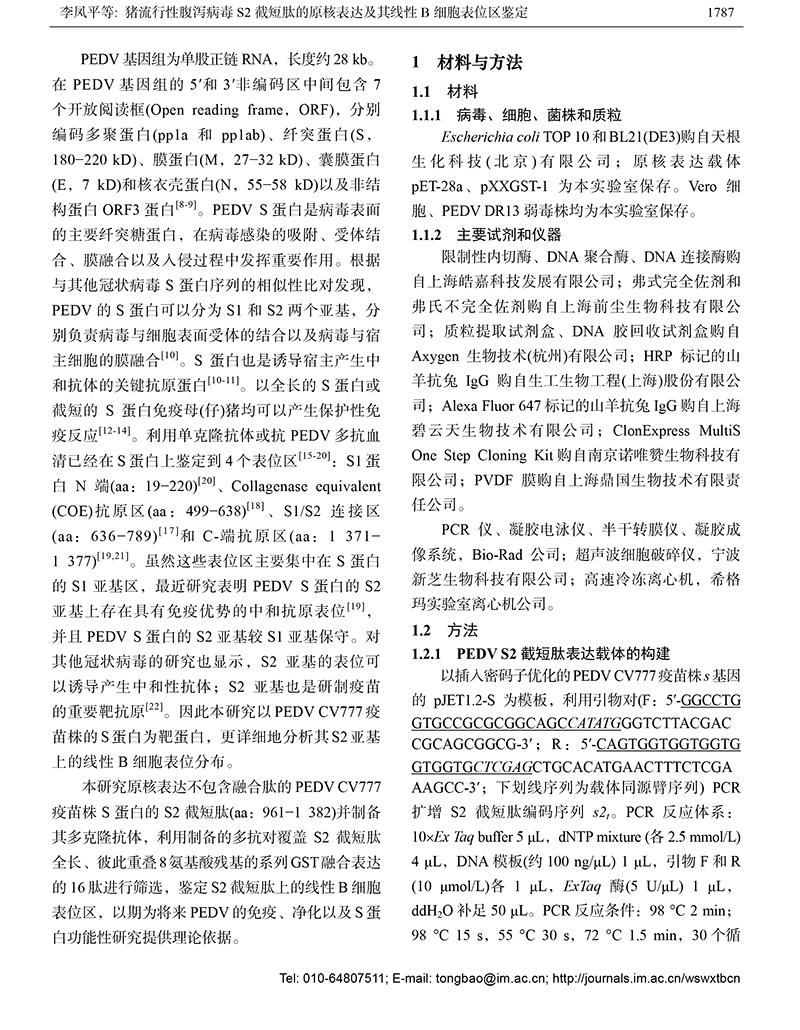 12-猪流行性腹泻病毒S2-3.jpg