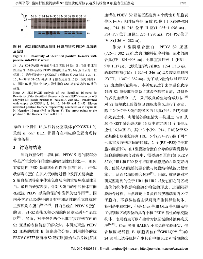 12-猪流行性腹泻病毒S2-9.jpg