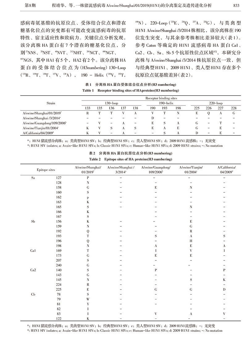 17、一株猪流感病毒A_swine_S-4.jpg