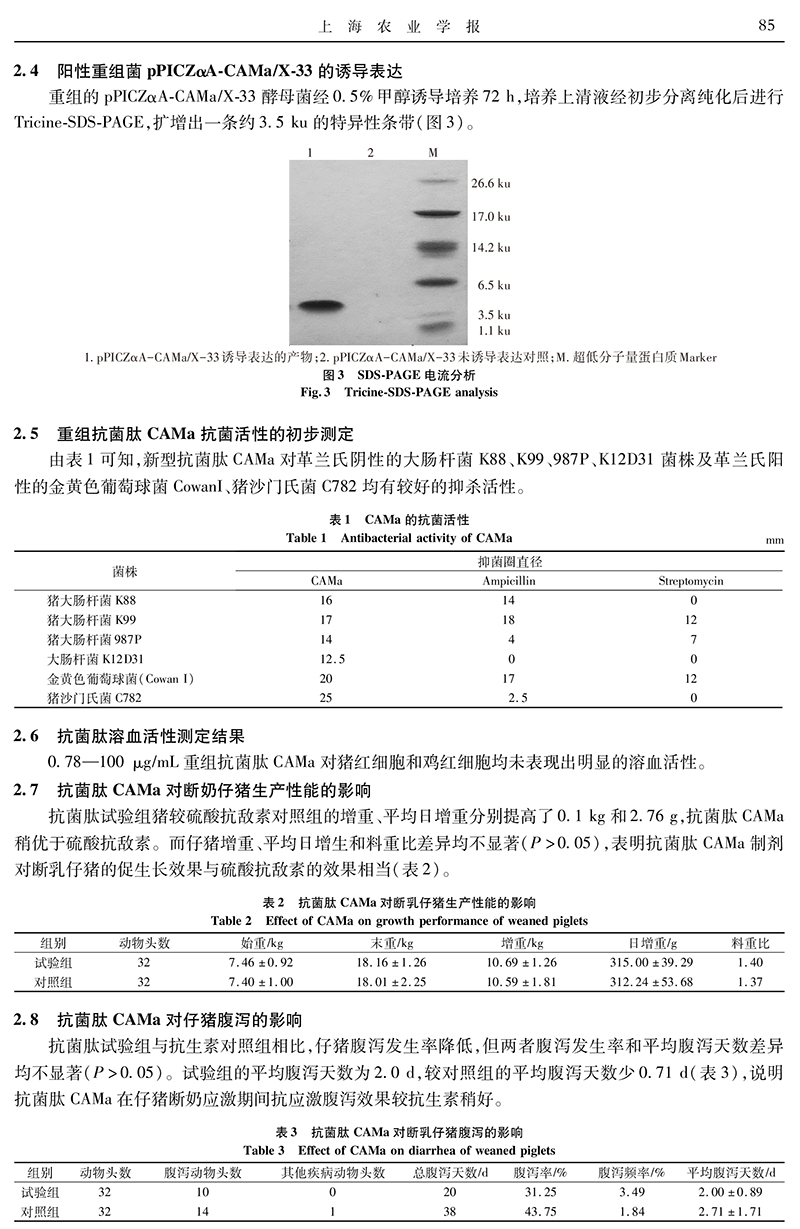 16-新型抗菌肽-4.jpg