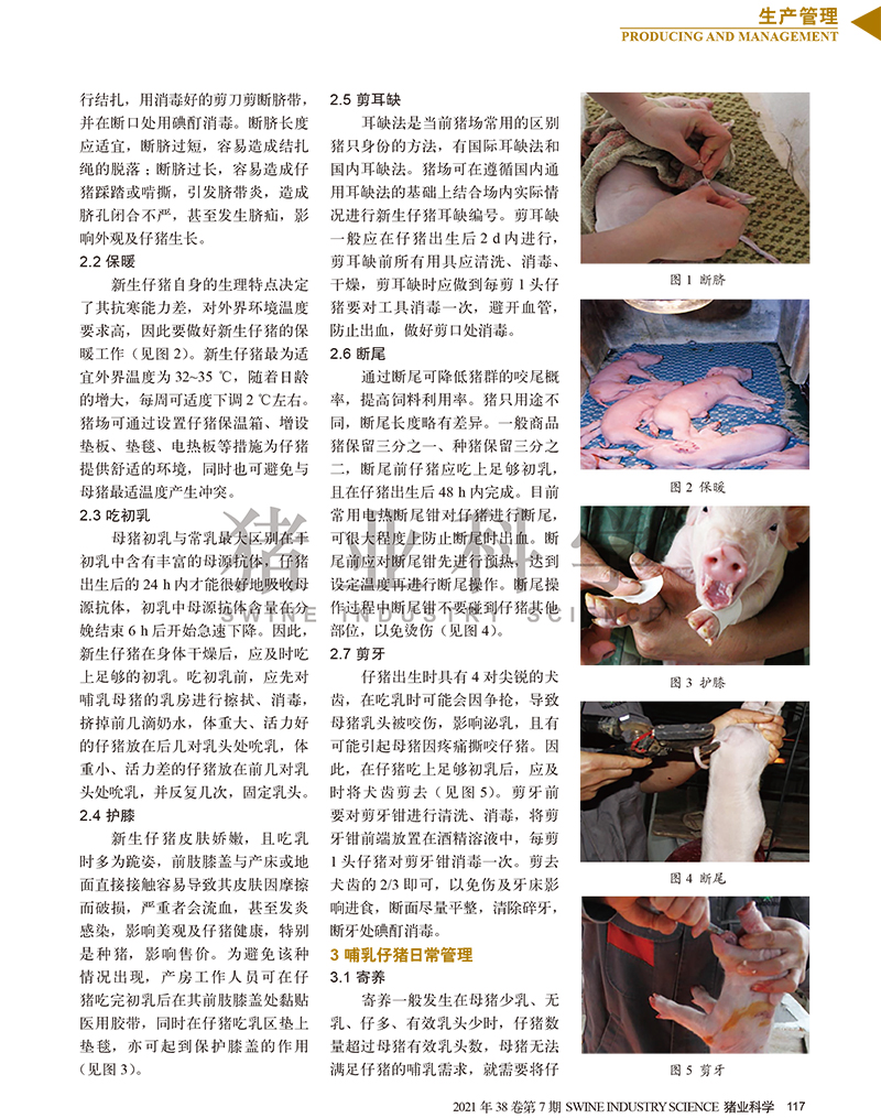 产房仔猪精细化管理概要-2.jpg