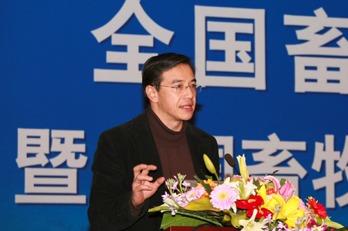 05.jpg